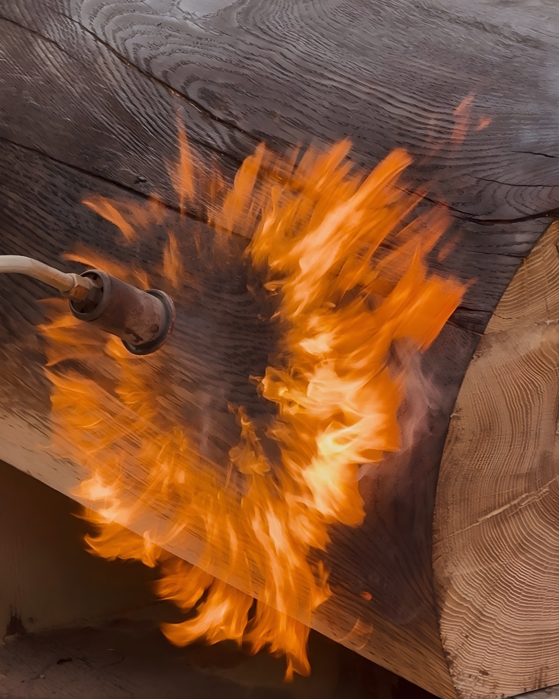 The Art of Carbonizing