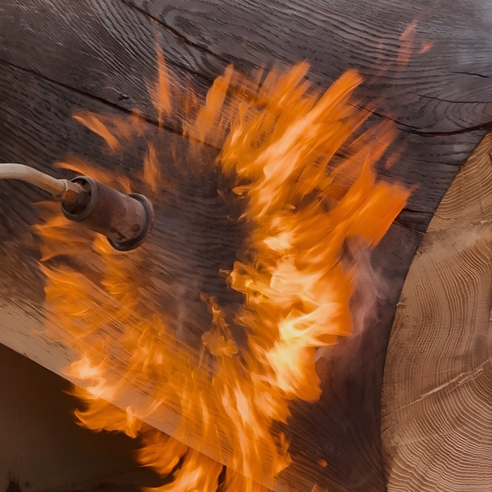 The Art of Carbonizing